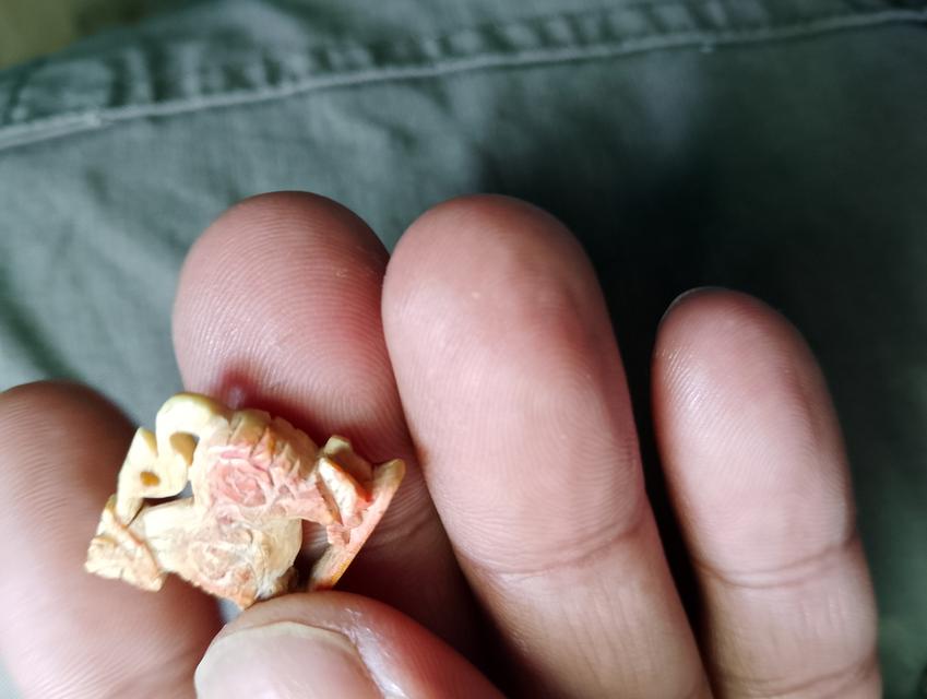 งาแกะหลวงพ่อเดิมสามขวัญ 7