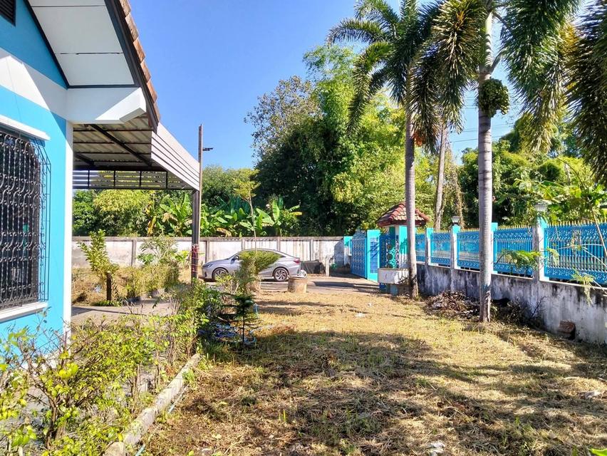 บ้านเดี่ยว5ห้องนอน3ห้องน้ำ เนื้อที่ 2งาน 60ตรว. บ.หนองสะโน ต.ดอนนางหงส์ อ.ธาตุพนม จ.นครพนม 18