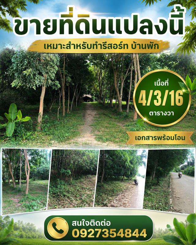 ขายที่ดิน เอกสารพร้อมโอน เหมาะสำหรับทำรีสอร์ท โฮมสเตย์ หรือจักสรร 1