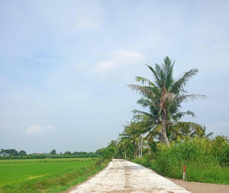 ที่ดินติดถนน 2 ด้าน ใกล้นิคมอุตสาหกรรม WHA ใกล้ถนนมิตรภาพ หนองแค สระบุรี 5