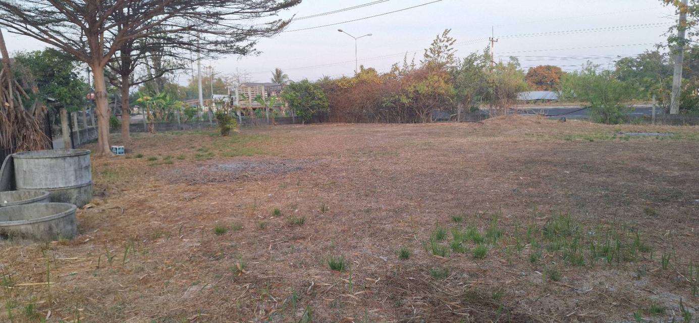 ขายที่ดิน 230 ตร.ว. ติดถนน 4 เลน ตำบลโนนกลาง อ.สำโรง อุบลฯ ใกล้โรงเรียนมัธยม 7