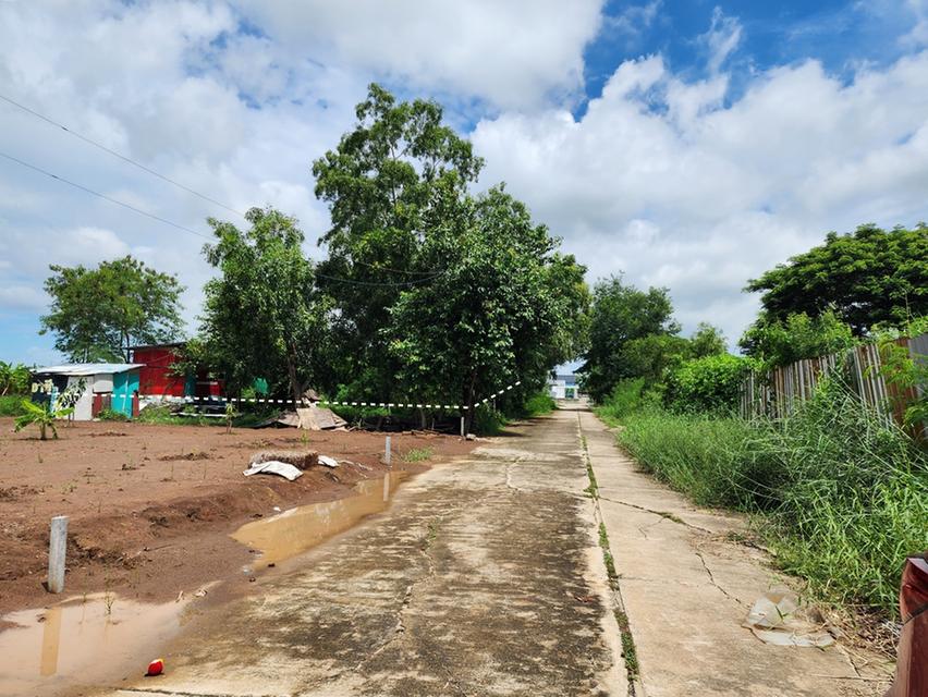 ขาย ที่ดิน 1 งาน ซ.คลองห้าตะวันตก 73 อ.คลองหลวง จ.ปทุมธานี 3