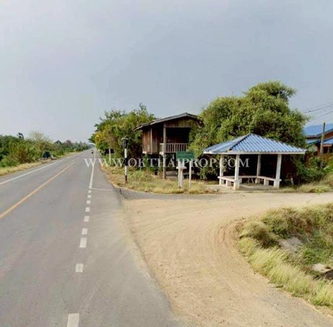 ขายที่ดินพร้อมต้นสัก ใกล้อบต.สร้อยทอง อ.ตาคลี จ.นครสวรรค์ 10