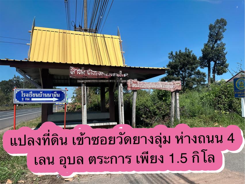 ขายด่วนที่ดินแถมบ้าน อำเภอเมืองอุบลราชธานี ใกล้สนามบินอุบล 2