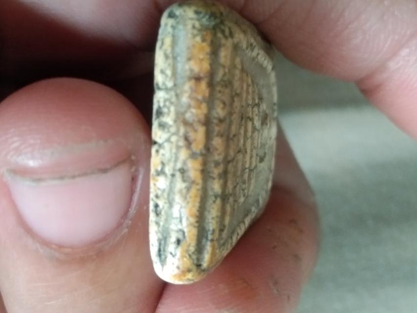 สมเด็จวัดระฆังพิมพ์ใหญ่ทะลุซุ้ม รูปที่ 3