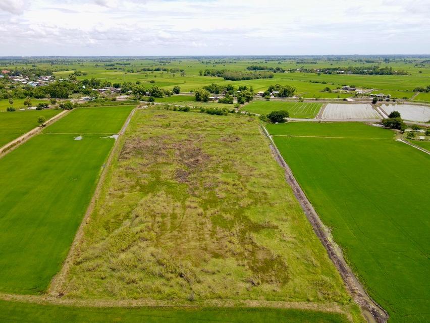 ขายที่ดินติดถนนลาดยาง แหล่งชุมชน  📍ต.หรเทพ อ.บ้านหมอ จ.สระบุรี 6