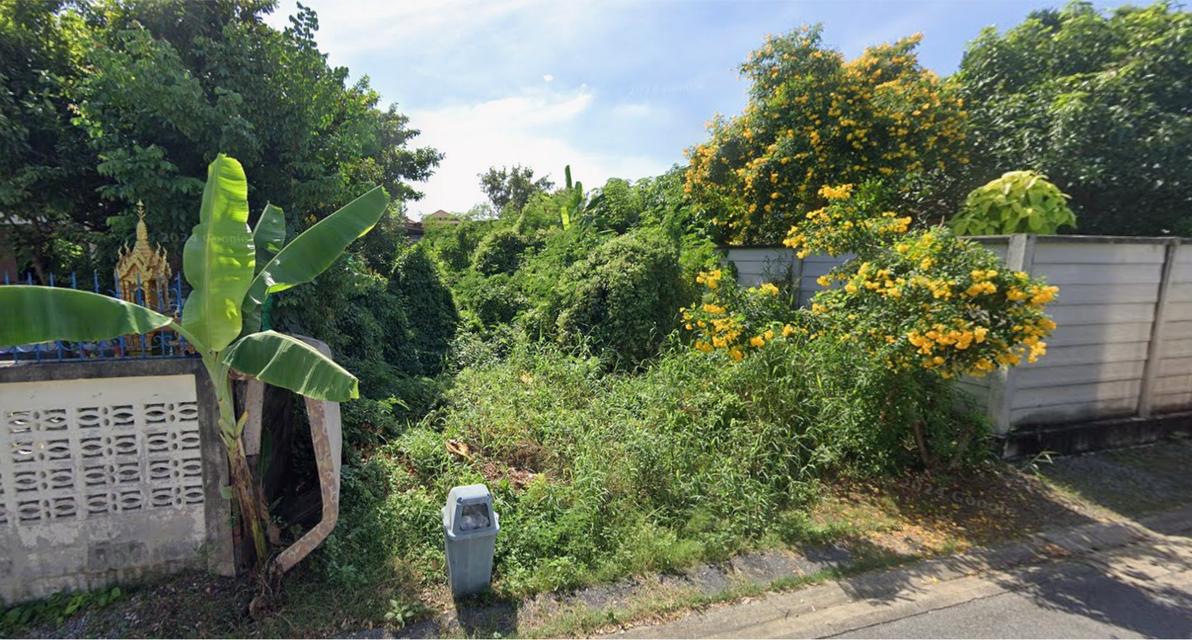 ที่ดินจัดสรรแบ่งขาย 50 ตารางวา 2