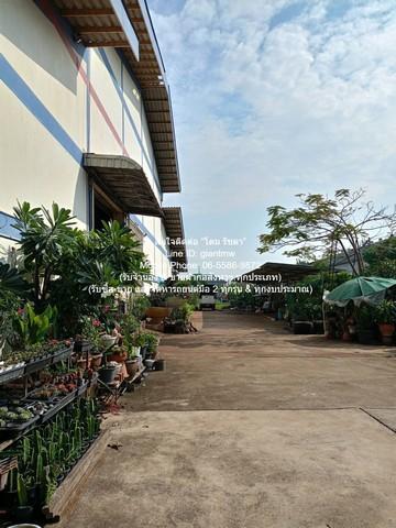 ขายโรงงาน (สำนักงาน และโกดัง) อ.เมือง จ.สมุทรสาคร 4-1-61 ไร่ ราคา 45 ล้านบาท 2