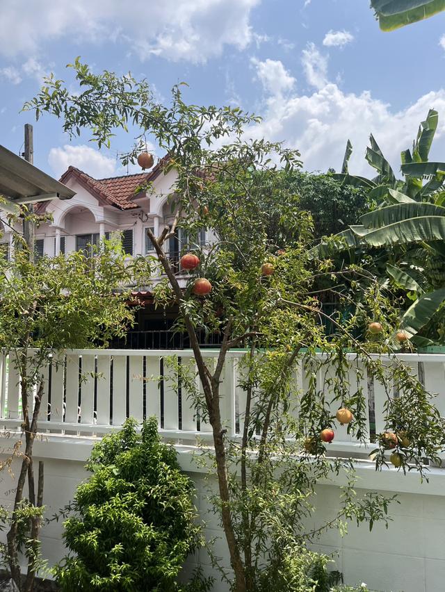 บ้านในสวน ติดบ่อปลา  ร่มเกล้า ซอย 6 แปลงหัวมุม 34 ตรว 2 ห้องนอน 2 ห้องน้ำ 2 ที่จอดรถ  2.29 ลบ 19