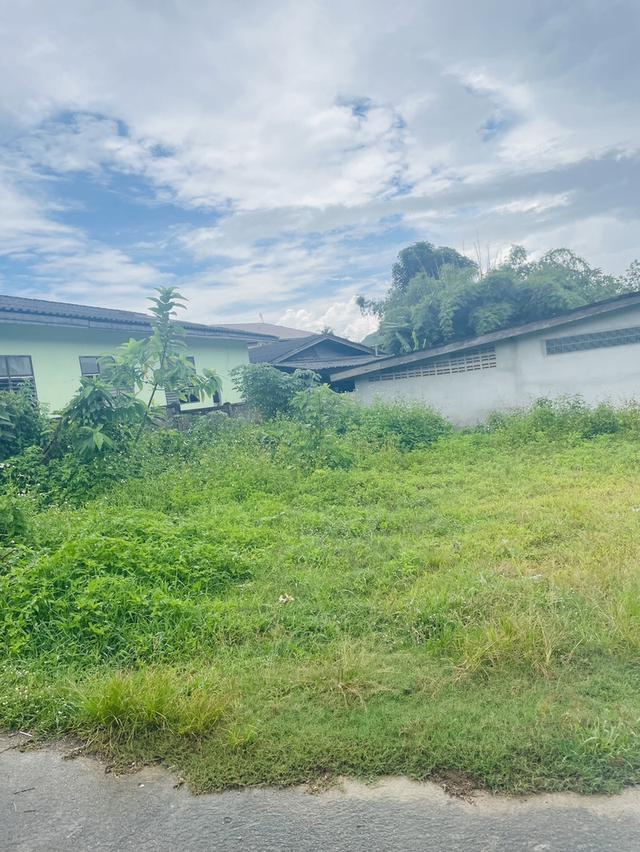 ที่ดิน 5