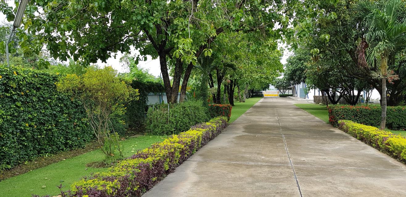 ขายที่ดินพร้อมบ้านและโรงงาน 18