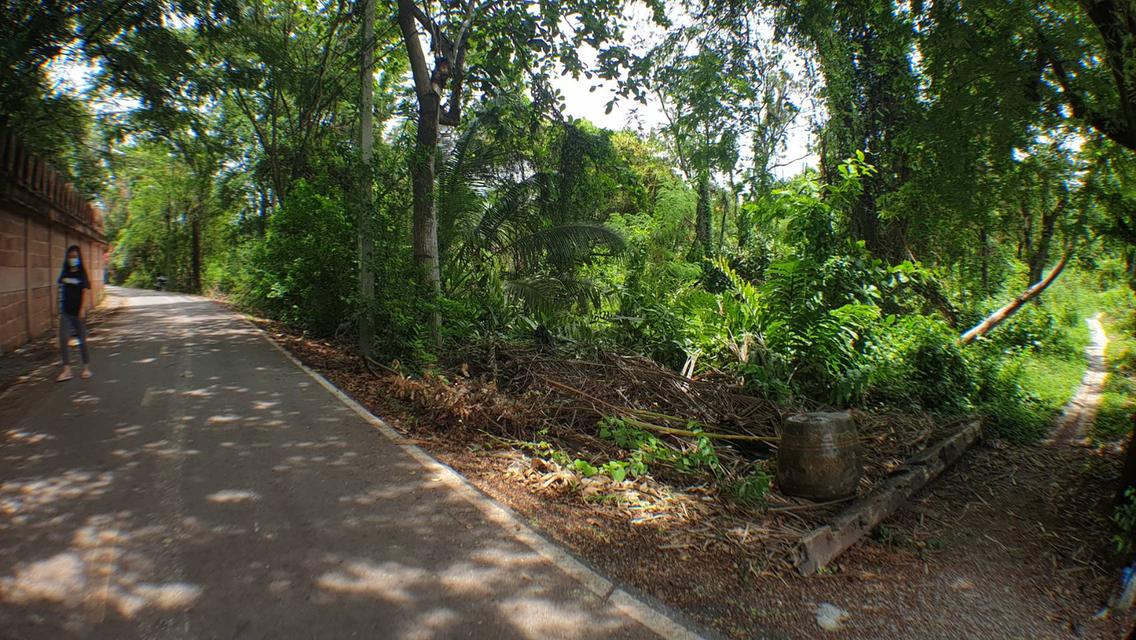 ขายที่ดินเปล่า ใกล้สะพานพระราม5 เนื้อที่ 2 ไร่ 45 ตร.วา (845 ตารางวา) ซ.บางไผ่ 15 ติดวัดสังฆทาน  2