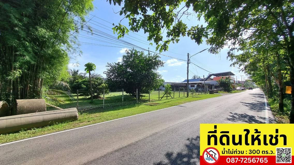 ปล่อยเช่าที่ดินทำเลทอง 300 ตร.ว. เมืองเชียงใหม่