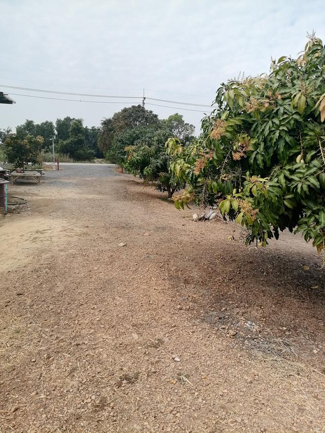 ที่ดินสวยบรรยากาศ​ดีใกล้กรุงเทพ​ เดินทางสะดวก​ 13
