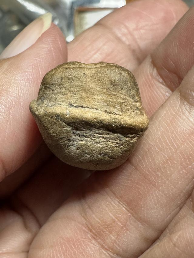 พระเนื้อดิน พระถำ้เสือ