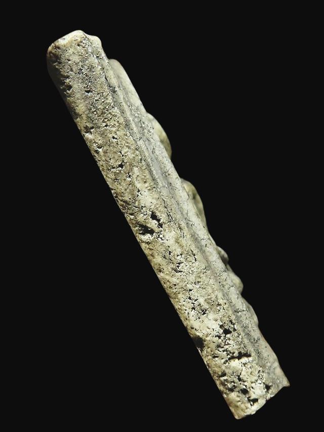 (ชิ้นส่วน)สมเด็จวัดระฆังโฆสิตาราม พิมพ์ใหญ่อกร่องเกศทะลุซุ้ม (หรือเรียกว่าพิมพ์สุโขทัย) บล็อกหลวงวิจารณ์เจียรนัย