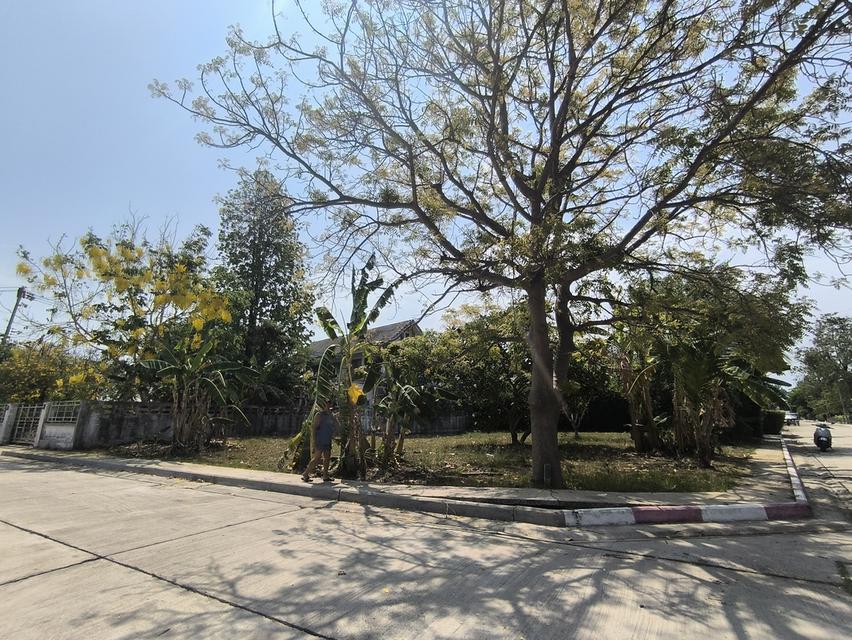 ที่ดินติดทะเล หาดแม่รำพึง 4