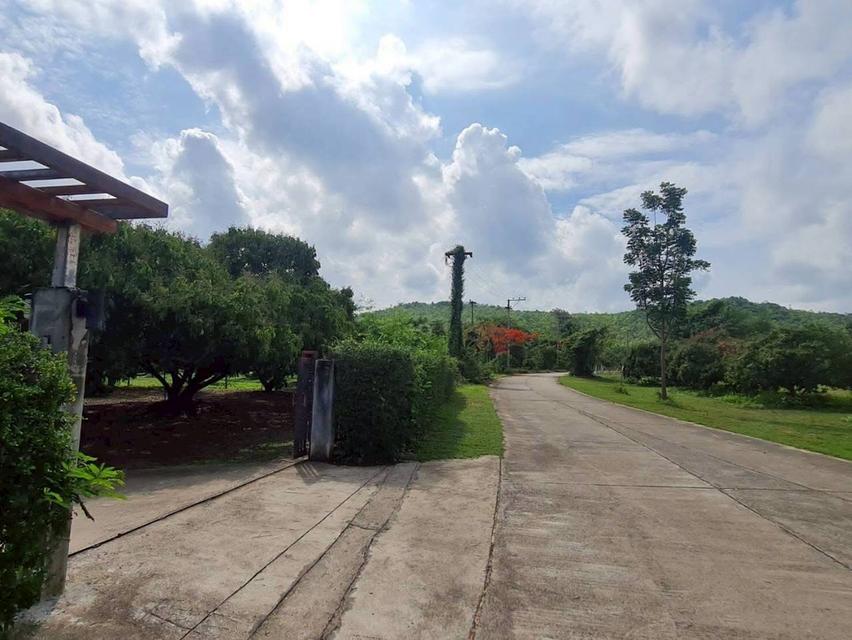 Landing Lamphun / ที่ดินลำพูน 3