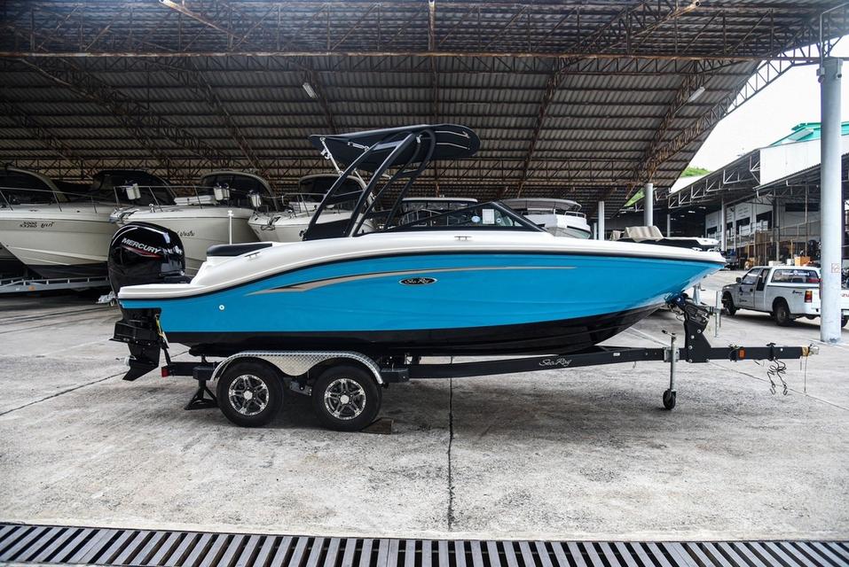 Sea Ray 190 SPX 1