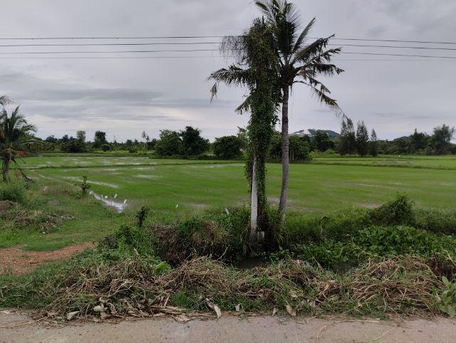 ขายที่ดิน ทำเลดี ติดถนน  ต.เกาะพลับพลา อ.เมือง  จ.ราชบุรี 5