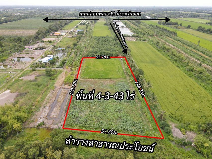 ขายที่ดินเหมาะสำหรับทำบ้าน ทำสวนและการเกษตร คลอง 11 ตำบล นพรัตน์ อำเภอ หนองเสือ ปทุมธานี 2