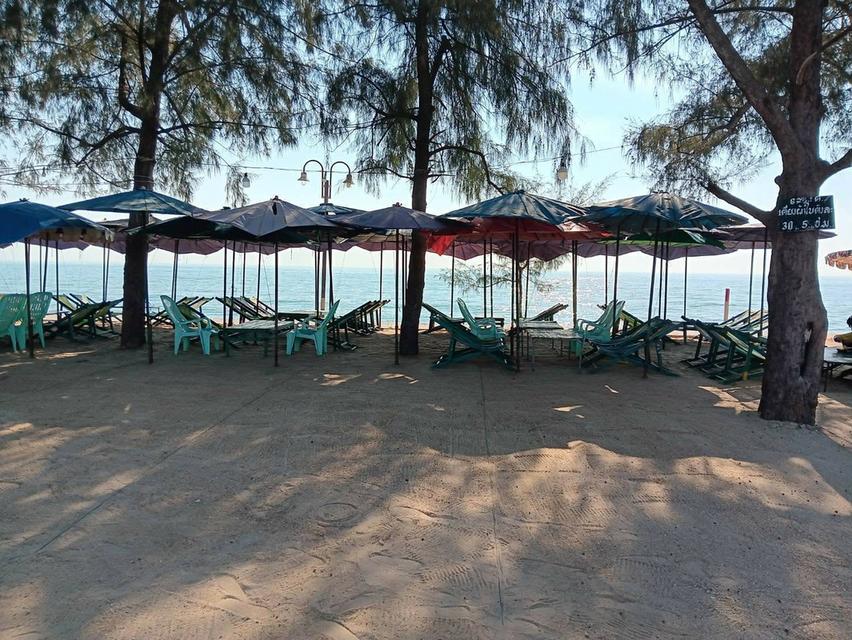 ที่ดินสวยติดทะเลชะอำ เหมาะสำหรับลงทุนสร้างโรงแรม รีสอร์ท Pool Villa คาเฟ่ริมทะเล หรือโครงการอสังหาริมทรัพย์ระดับพรีเมียม รูปที่ 1