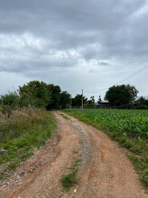 ขายที่ดินเปล่าเขาใหญ่ ขนาด 17-2-7 ไร่ วิวสวยมาก อยู่บนเนินเขา 3