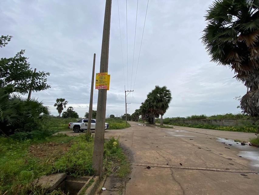 ขายต่ำกว่าประเมินที่ดิน 266 ตรว ติดถนนคอนกรีต ต.บ้านงิ้ว อ.สามโคก จ.ปทุมธานี 6