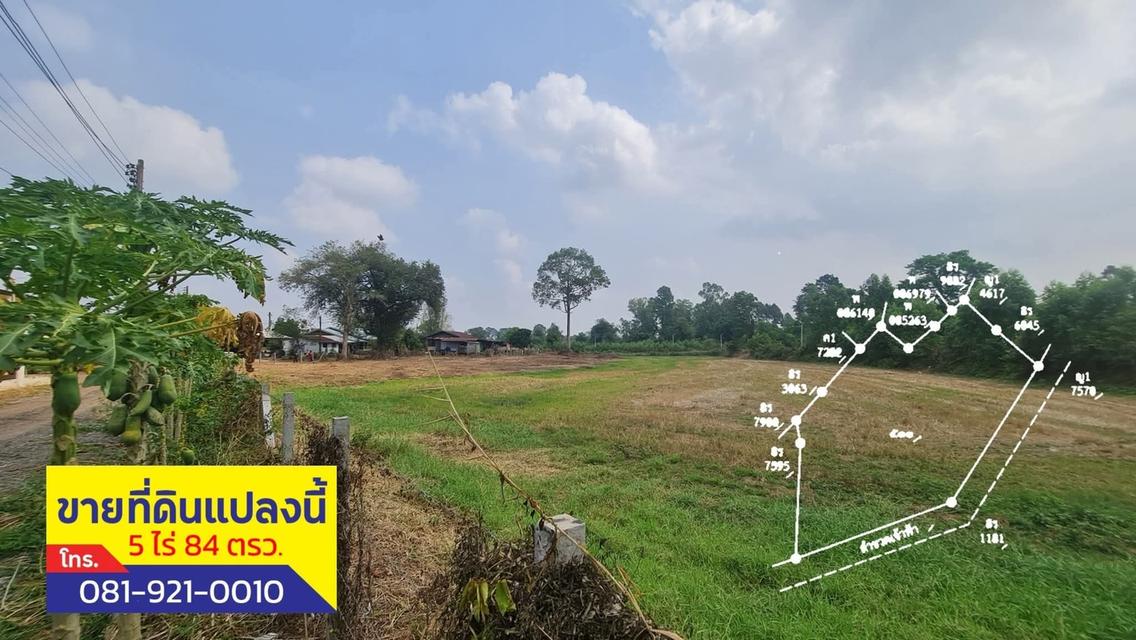 ที่ดินแยกโคกปีป ปราจีนบุรี 4