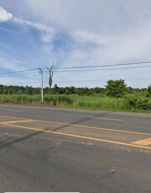 ขายที่ดิน115ไร่ตำบลทุ่งอรุณ อำเภอโชคชัยจังหวัดนครราชสีมา พื้นที่ 115ไร่เศษ 3