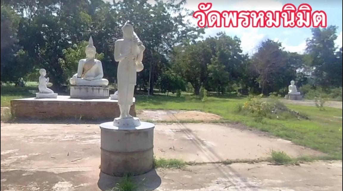ขายที่ดินวิวเขาพร้อมสวนสักอายุ20ปีโฉนดครุฑแดงพร้อมโอนไฟฟ้าประปาพร้อม 10