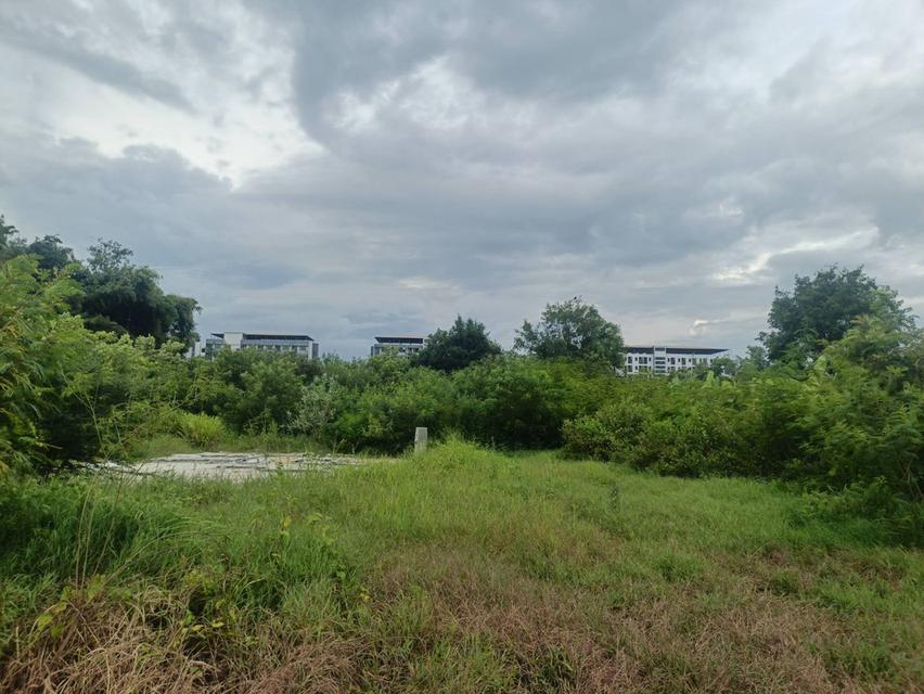 ที่ดินเปล่า ไม่มีสิ่งปลูกสร้าง 6