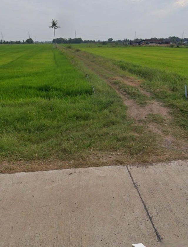 ขายที่นา 100 ไร่ ตำบลหมอนทอง อำเภอบางน้ำเปรี้ยว จังหวัดฉะเชิงเทรา 2
