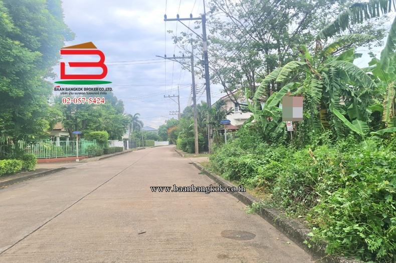 ที่ดินเปล่า หมู่บ้านปาริชาต 345 (โซน B ซอย 15) เนื้อที่ 81 ตร.ว ตำบลบางคูวัด อำเภอเมืองปทุมธานี ปทุมธานี 2