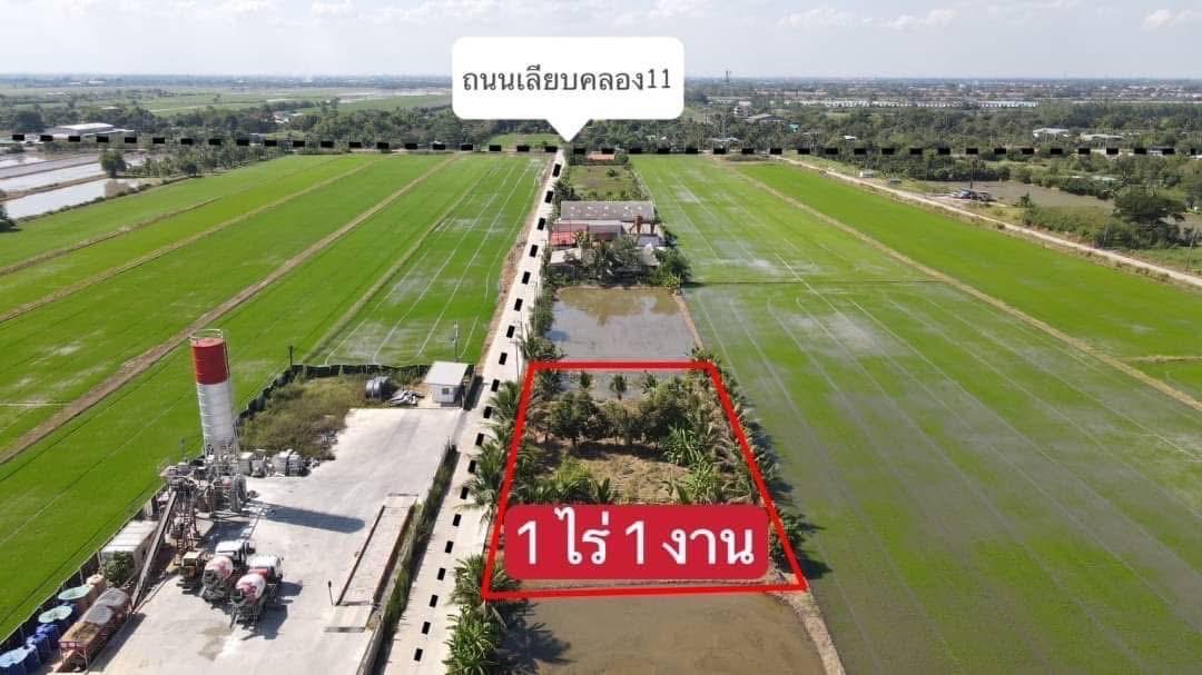 #ที่ดินคลอง11 #ธัญบุรีทำเลดี 5