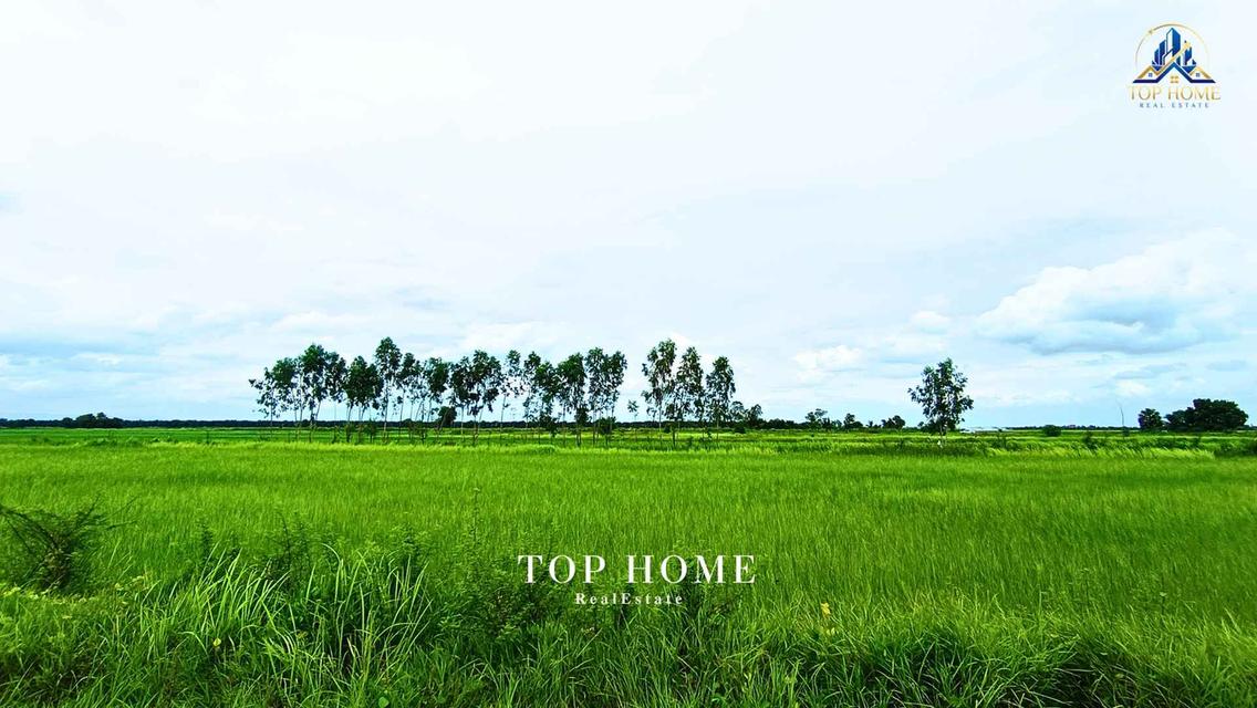 ขายด่วน! ที่ดินเปล่า 200 ตร.ว. องครักษ์ 24 — ราคาเพียง 590,000 บาท! 🔥 🌿 แปลงสวย ขนาดกำลังดี เหมาะทำสวน–เพาะปลูก | โฉนดเดียว 8