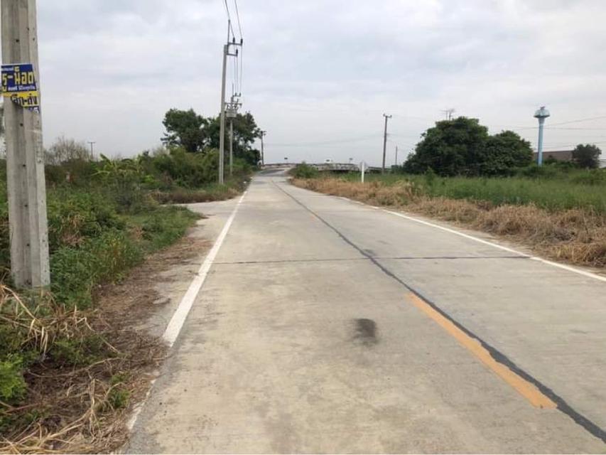 ที่ดินเปล่า 50 ไร่(บ่อปลา)