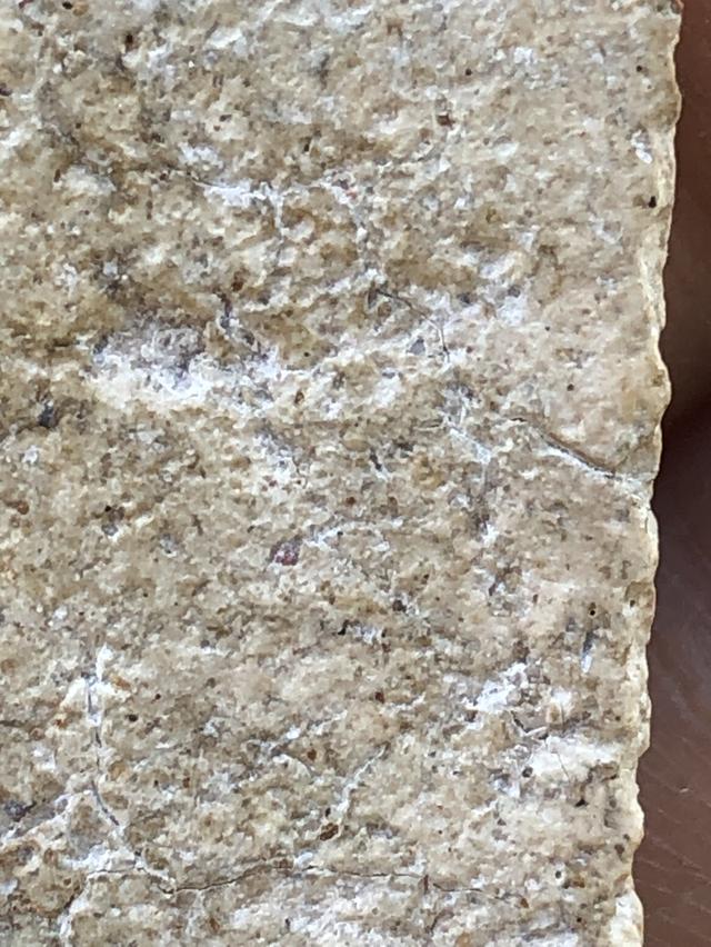 พระสมเด็จวัดระฆังพิมพ์ใหญ่ รูปที่ 8