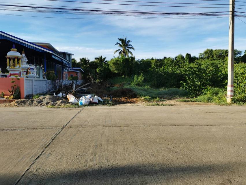 ขายที่ดิน240ตารางวากว้าง24เมตรลึก40เ 4