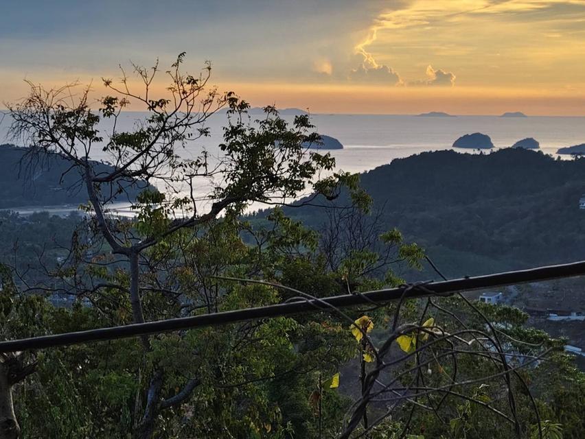 ขายที่ดินวิวทะเล ทำเลทอง เกาะสมุย 14