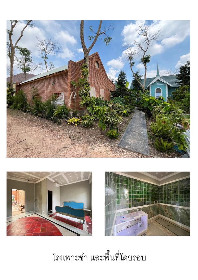 🔥🏞️ ขายด่วน! ยอมขาดทุน #ที่ดินติดแม่น้ำบางปะกง 3 ไร่ 1 งาน