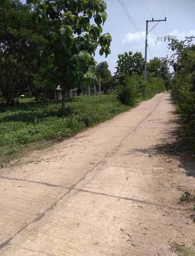 ที่ดินสวนไม้สัก 5 ไร่ 23 ตร.ว. จ.ลำปาง 8