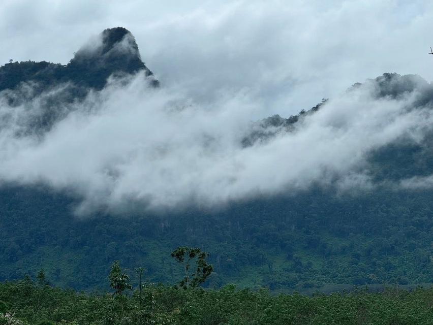 ที่ดินวิวภูเขา ทางขึ้นอีต่อง 2