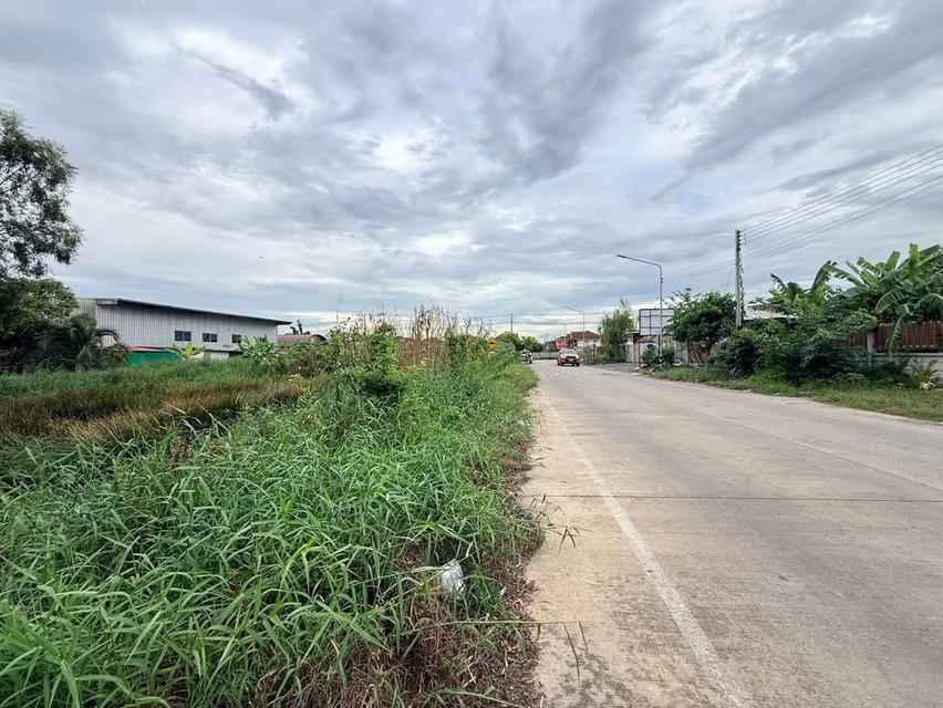 ขายด่วนที่ดินคลองสอง 363 ตรว ติดถนนคอนกรีต ซ.บงกช 69 อ.คลองหลวง จ.ปทุมธา 10