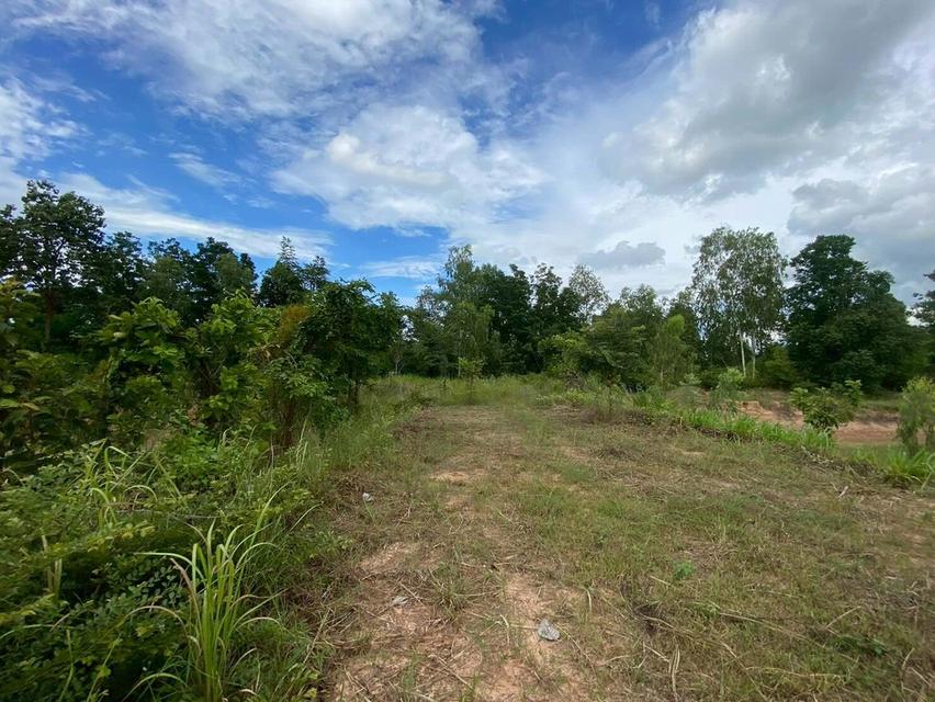 ขายที่ดิน เมืองพล จังหวัดขอนแก่น 3