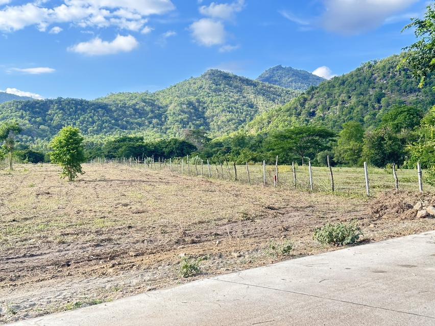 ที่ดิน พุหวาย ชะอำ จ เพชรบุรี ขนาด 6.375 ไร่  6