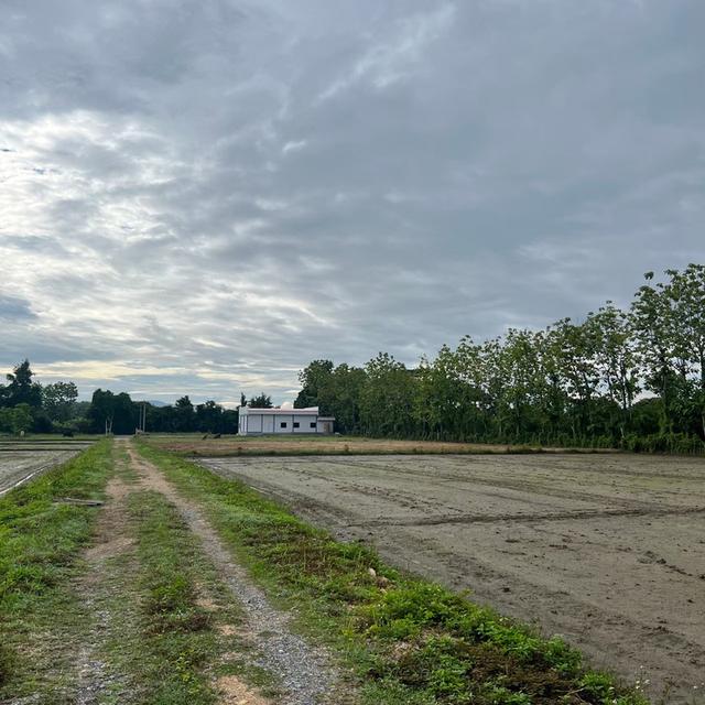 ที่ดิน เจ้าของขายเอง ปี 2569 3