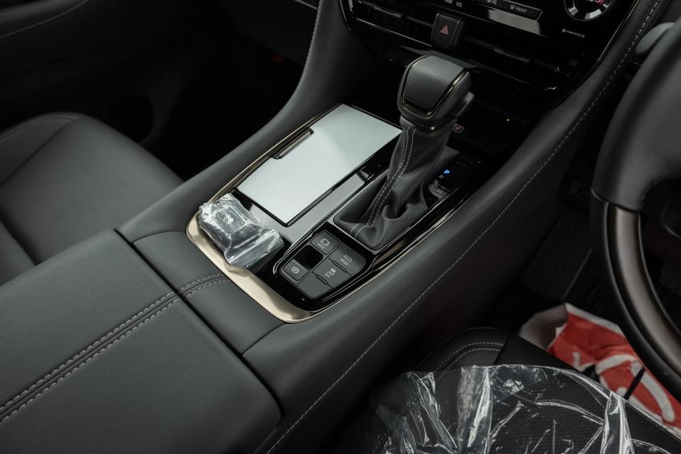 TOYOTA ALPHARD  Z-PREMIER  40 BLACK 10