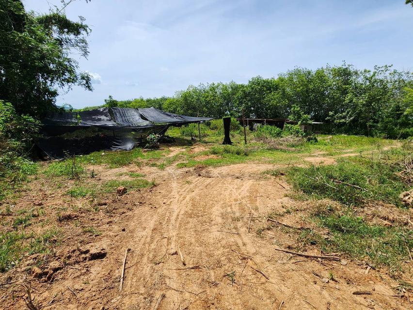 ที่ดิน 10 ไร่ 70 ตรว. นิคมฯ กม.5 อ่าวน้อย ประจวบคีรีขันธ์ 3