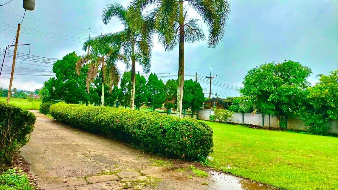 ขายบ้านพร้อมที่ดินสวยๆ ทำเลดี ใกล้จุดสำคัญหลายๆที่ 19